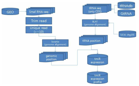 tRNA fragment 분석 흐름도