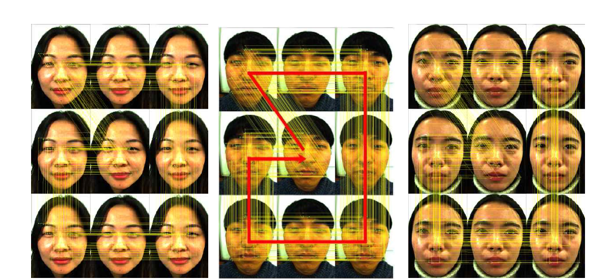 Light field subaperture 영상에서 공통 특징을 찾기 위한 특징 정합