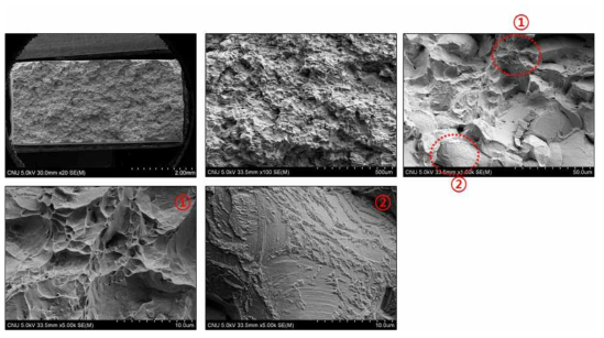 방짜유기 최종재의 상온인장 시험 후 파단면 SEM 사진