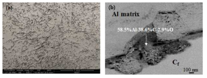 Al-2wt%C covetics 합금의 TEM과 HRTEM 사진