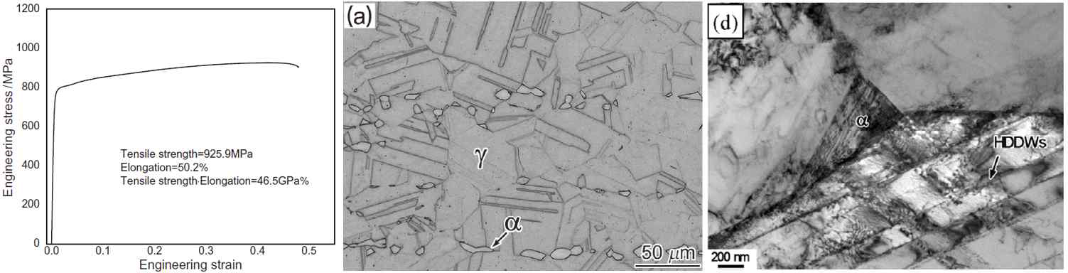Duplex강의 인장-연신율 곡선 및 초기 / 변형 후 미세조직 변화 [8]