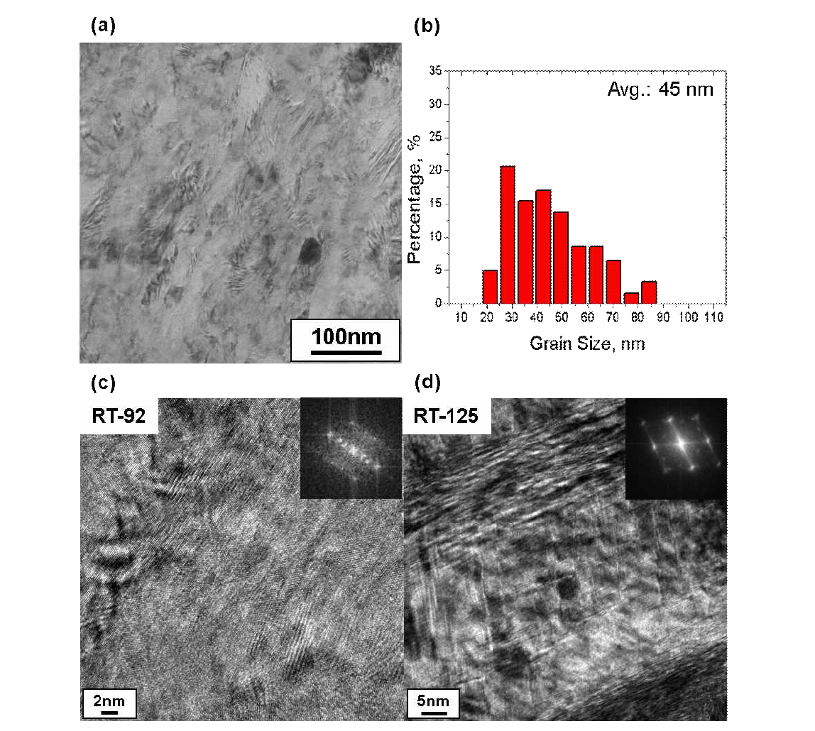 RT 조건에서의 고압 비틀림 공정 처리된 TWIP강에서의 미세구조 분석 결과.