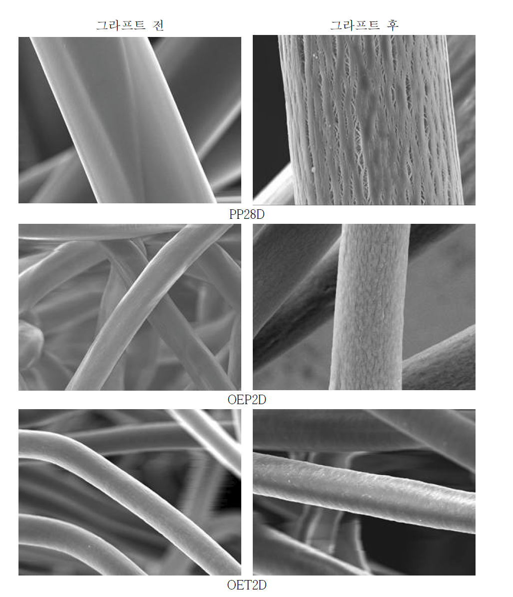 섬유 별 그라프트 전&후 표면 형상 변화