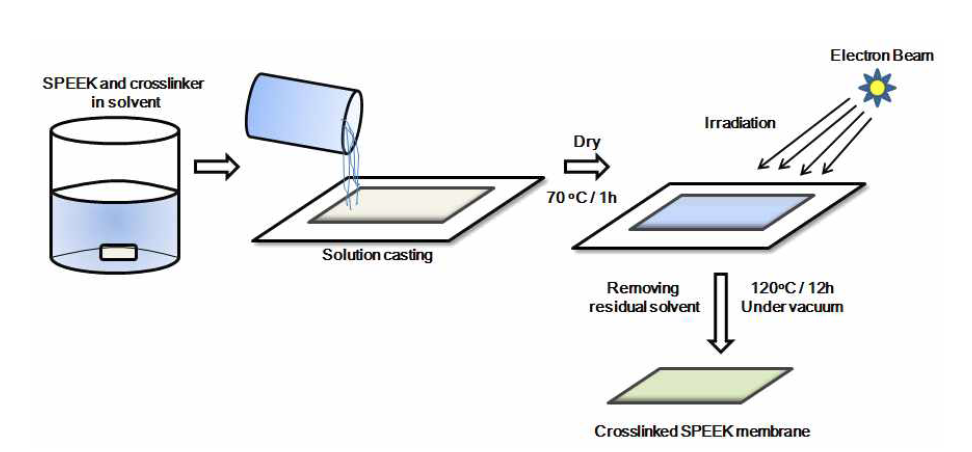 방사선을 이용한 가교구조의 술폰화된 SPEEK 멤브레인 제조기술