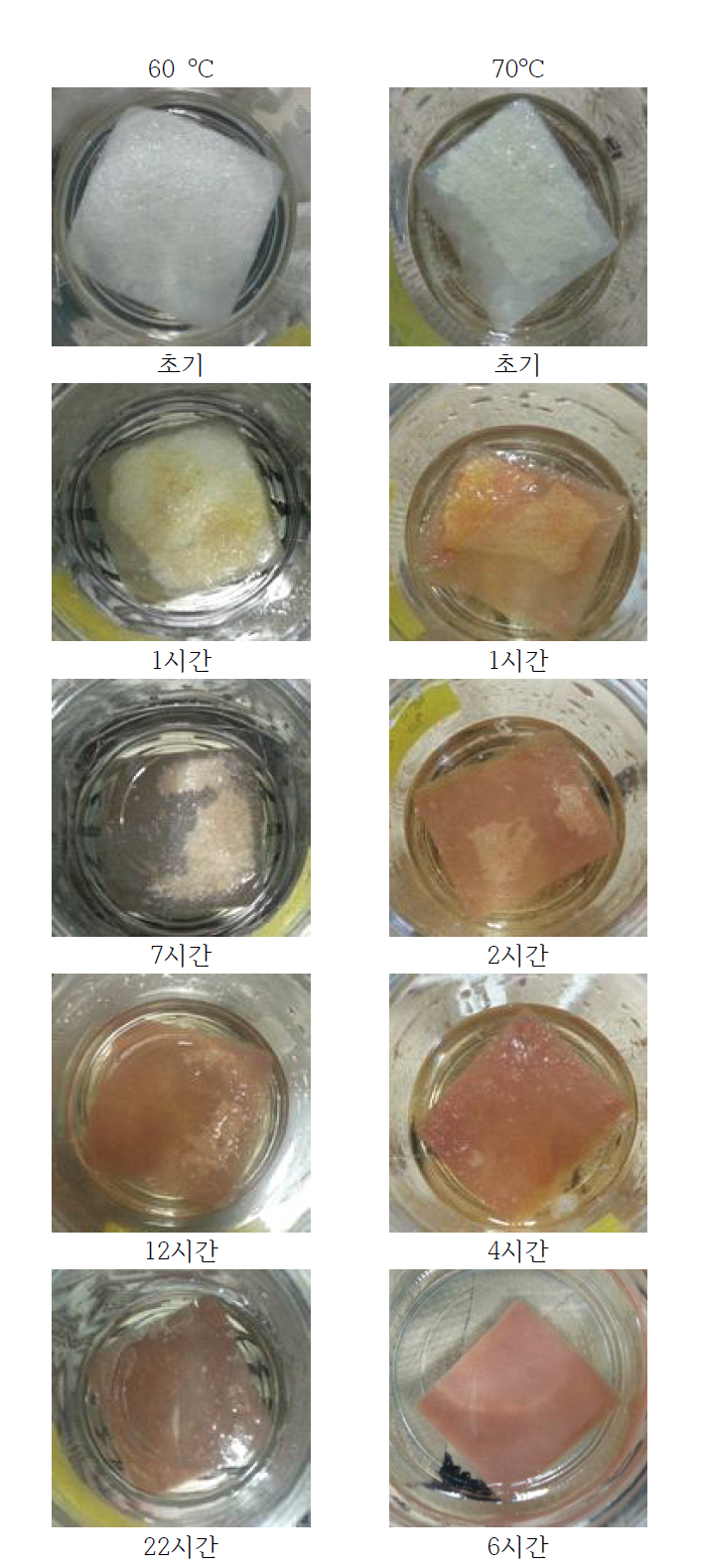 설포네이션 시간에 따른 부직포 외형 변화