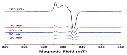 100 kGy에서 조사된 후 열처리(80 ℃) 시간에 따른 ESR 스펙트럼 변화