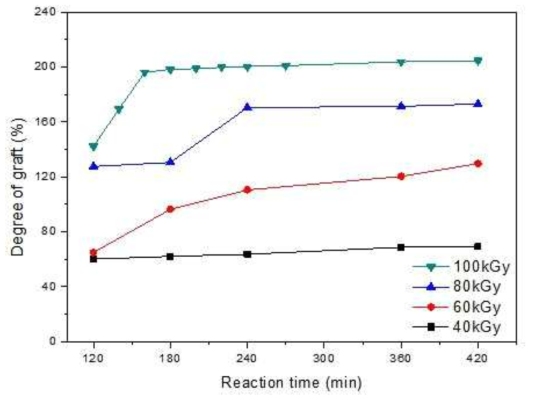 반응시간에 따른 그라프트율 변화에 있어 전자선 조사량의 영향