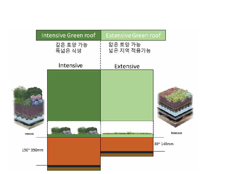 Intensive Green roof와 Extensive Green roof