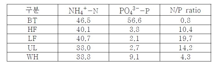 배양 시 기질별 N, P 농도와 N/P ration