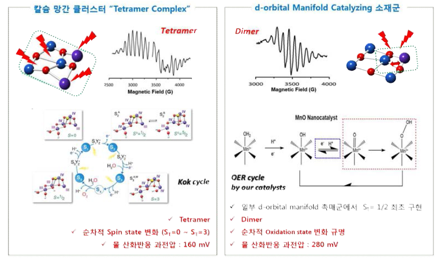 자연계의 테트라머와 d-orbital manifold 제어 소재의 다이머의 EPR 신호 및 특성 비교