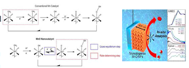 본 연구단에서 규명한 MnO NPs를 이용한 물분해 반응의 메커니즘
