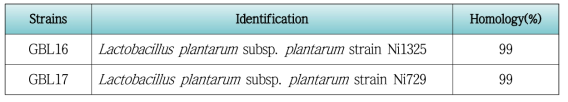 16S rRNA sequencing에 의한 유산균 동정