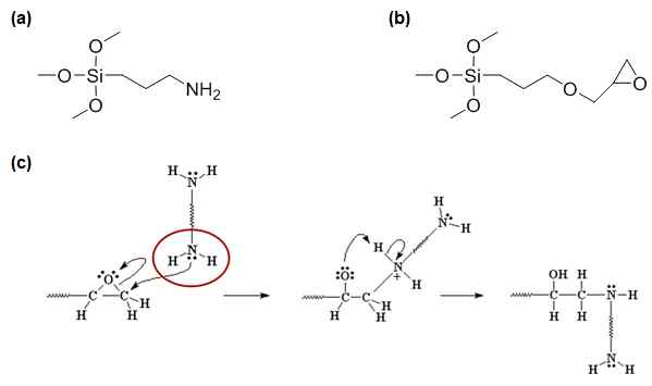 표면처리에 이용한 물질 (a) (3-Aminopro pyl)trimethoxysilane (APTMS), (b) (3-Glycidoxyprop yl)methyldimethoxysilane (GPTMS), (c) 아민기와 에 폭시기의 반응 메커니즘