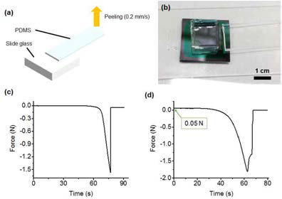 (a) 접착력을 측정하기 위한 필링 실험 모식도 , (b) SU-8과 SiO2의 접착력 측 정 후 접착 경계선에서 PDMS가 찢어진 모습, (c) PDMS와 유리기판의 표면처리에 의한 접 착력 측정, (d) SU-8과 SiO2의 표면처리에 의한 접착력 측정