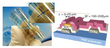 저온 공정을 도입한 유연한 금속 산화물 반도체 박막 트랜지스터