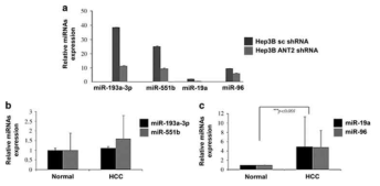 miR-19a and miR-96 are upregulated in human hepatocellular carcinoma (HCC) samples
