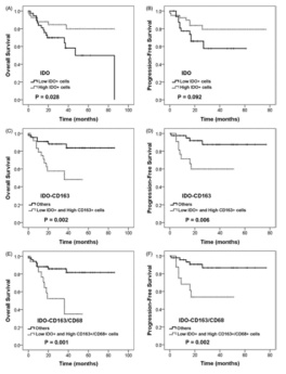 Kaplan–Meier plots with log-rank test for overall survival (OS) and progression-free survival (PFS) in patients with DLBCL treated with R-CHOP