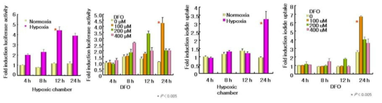 Hypoxia 유도에 의한 luciferase reporter gene 활성 및 NIS I-uptake 증가