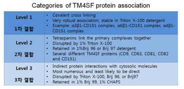 TERM에서 이루어지는 단백질-단백질 결합의 특성