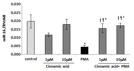 miR-16의 downregulation 저해를 통한 Cinnamic acid의 COX-2 억제효과