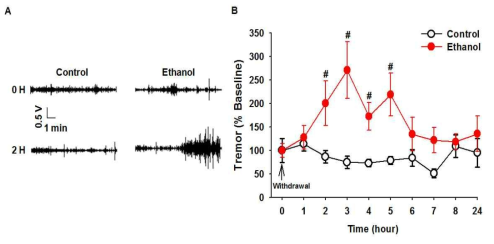 그림. 알코올 금단 후 시간에 따른 진전(tremor)행동 변화