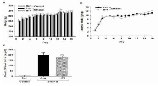실험동물의 체중, 알코올 섭취 및 혈중 알코올 농도 변화