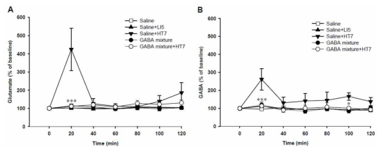 GABA agnost mixture에 의한 변연계아래피질의 불활성화는 침자극에 의한 복측피개영역내 GABA와 glutamate 분비를 억제함.