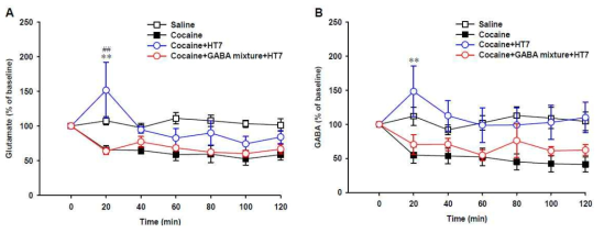 급성 코카인 중독모델에서 GABA mixture미세투석후 코카인에 의해 억제된 복측피개영역내 글루타메이 트와 가바 분비에 대한 신문혈 침자극의 효과.