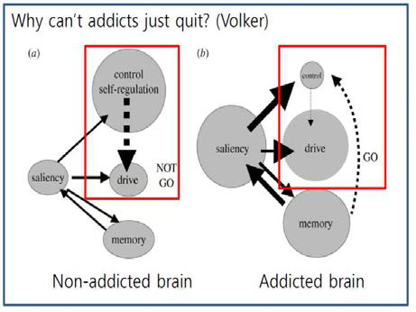 중독 뇌에서 자기통제 (control self-regula tion) 영역의 중요성.
