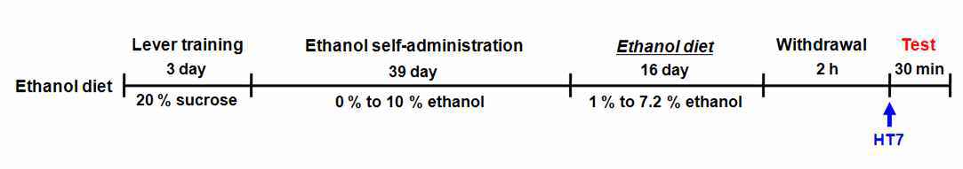 알코올 자가 투여 실험 절차 및 개요