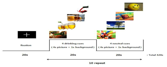 fMRI 실험 절차