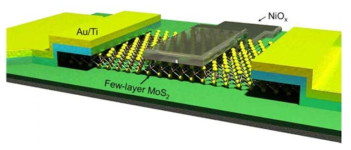 니켈산화막을 게이트로 사용한 MoS2 채널 쇼트키 트랜지스터의 모식도