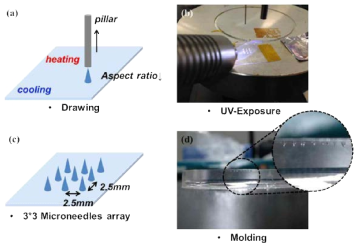 마이크로 니들 제작을 위한 트랜스퍼 드로잉 (transfer drwing) 공정 및 몰딩 결과 이미지.