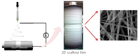 전기방사(Electrospinning)를 이용한 펼 수 있는(stretchable) 실크피브로인 기판 제작의 개념도