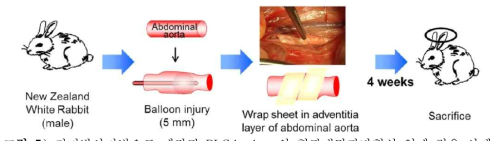 전기방사기법으로 제작된 PLGA sheet의 혈관내막과다형성 억제 적용 사례