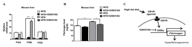 고지방 다이어트에 의한 fibrinogen의 발현 증가와 GSK5182의 억제