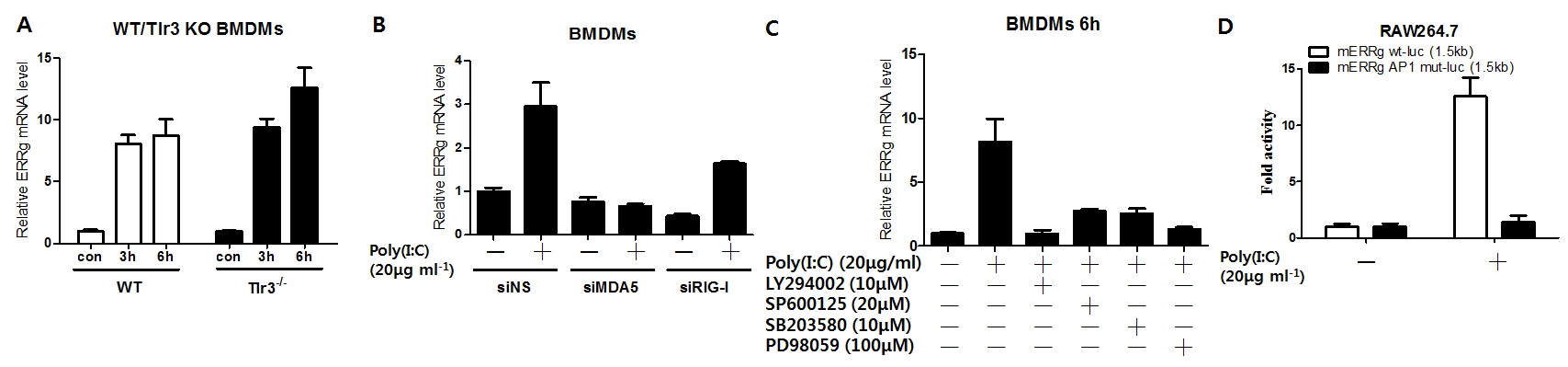 poly(I:C)-MDA5-JNK-AP1 signaling을 경유하여 ERRgamma의 발현