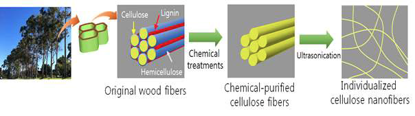 셀룰로스 나노섬유의 제조