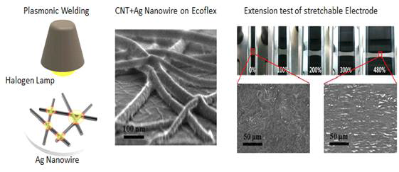 Ag Nanowire, Carbon Nanotube, Ecoflex복합체의 Plasmonic welding을 통한 안정성 향상 연구