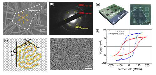 (a) 그래핀위 에피택시 성장한 PVDF-TrFE의 SEM이미지, (b) (001)방향으로 배향된 PVDF-TrFE의 SAED 패턴, (c) 그래핀위 에피택시 성장한 PVDF-TrFE의 MD 시뮬레이션, (d) CVD에 의한 대면적 성장된 그래핀 위 에피택시 결정 배향된 PVDF-TrFE의 SEM 이미지, (e) Al/PVDF-TrFE/Graphene의 MFM 소자의 모식도, (f) PVDF-TrFE의 전극에 변화에 따른 분극 그래프