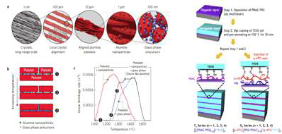 (좌) 다양한 스케일의 구조의 자가정렬 및 치밀화를 위한 디자인 전략, (우) 유기/무기 층상구조의 모식도