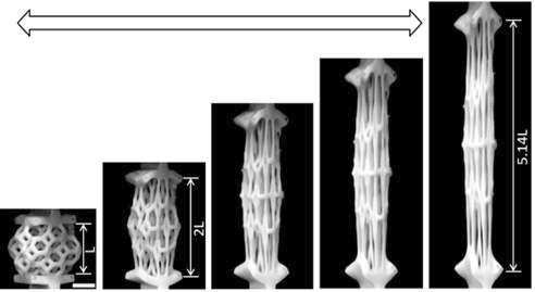 신장된 Elastomer Mechanical Metamaterial