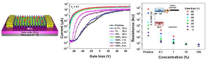 MoS2 전계 효과 소자의 전기적 특성 및 n-type 도핑 특성 연구