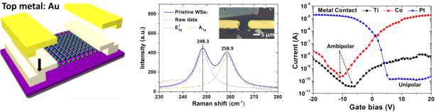 WSe2 전계 효과 소자의 전기적 특성 및 n-type 도핑 특성 연구
