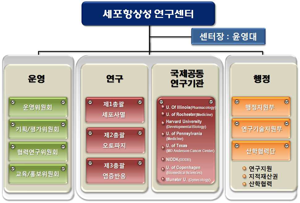 센터 조직 및 추진체계도