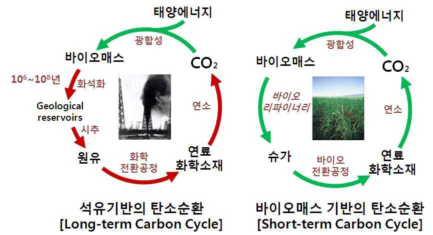 바이오매스 기반 이산화탄소의 선순환