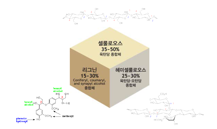 섬유소 바이오매스의 구성성분