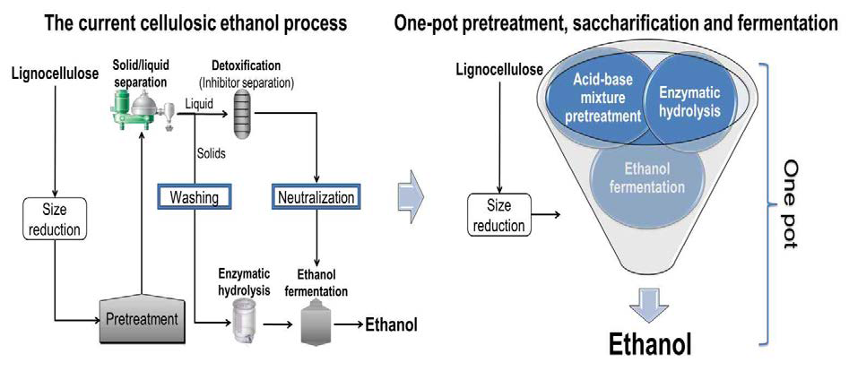 새로운 개념의 One-pot pretreatment, saccharification and ethanol fermentation 공정