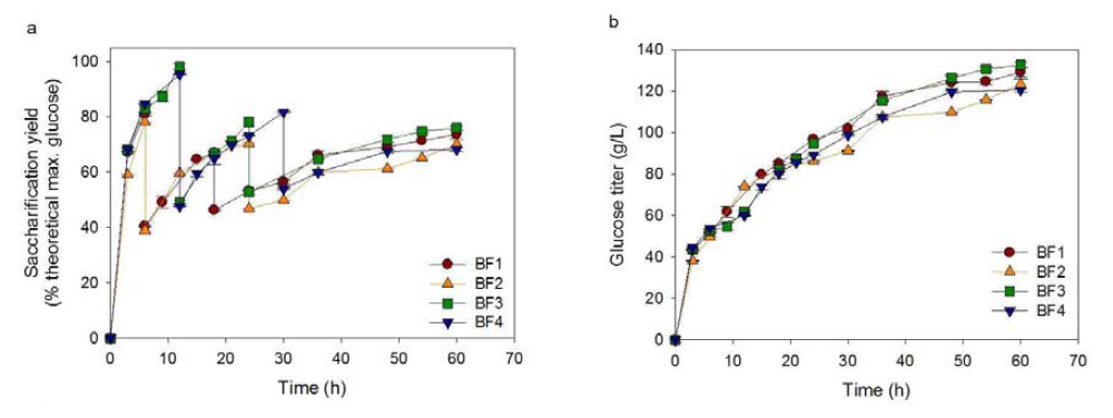 바이오매스 공급 차이에 의한 당화율 및 glucose 함량