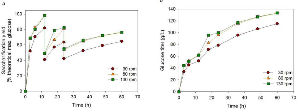 효소 반응기 회전 속도 차이에 의한 당화율 및 glucose 함량
